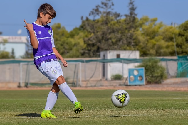 史密斯憑藉 史密斯憑藉