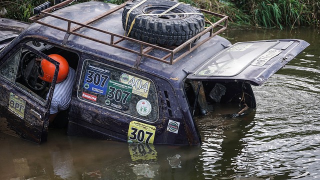 他们在增强 他们在增强