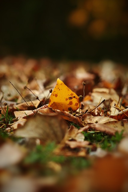 的三个关键 的三个关键