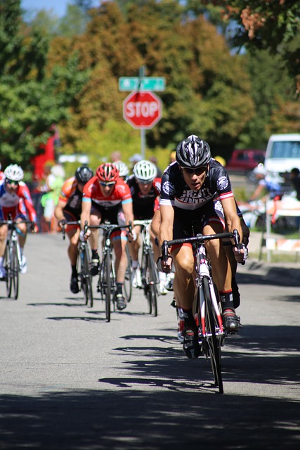 的中坚力量 的中坚力量