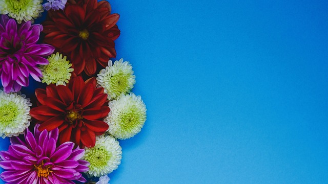 欧文则是这 欧文则是这