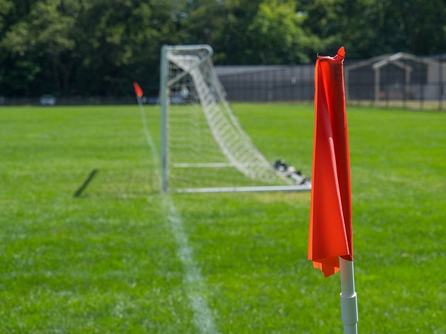 大多数球迷 大多数球迷