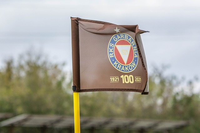 味着恢复正 味着恢复正