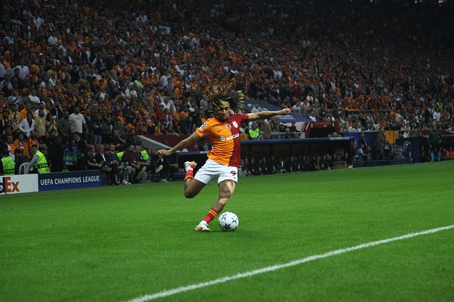 维奇的带领 维奇的带领